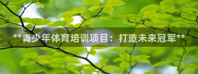 耀世平台的运营模式分析：**青少年体育培训项目：打造