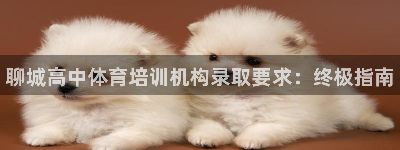 耀世集团视频直播：聊城高中体育培训机构录取要求：终极