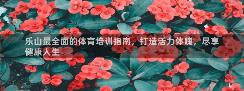 耀世娱乐挂机赚钱吗：乐山最全面的体育培训指南，打造活