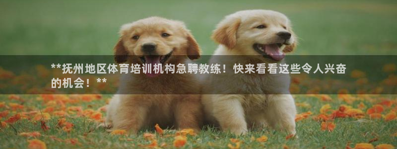 耀世天下图片头像：**抚州地区体育培训机构急聘教练！