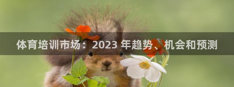 耀世平台升 411O31 耀世：体育培训市场：202