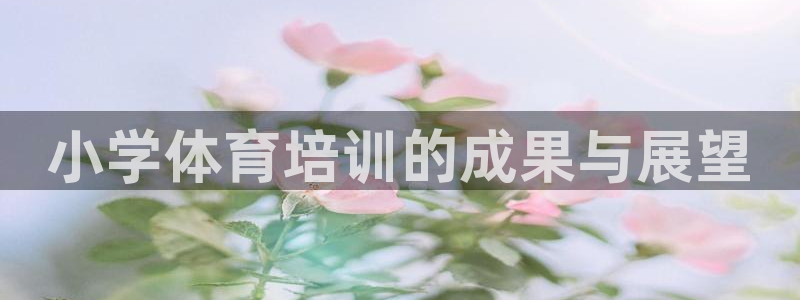 耀世而生什么意思：小学体育培训的成果与展望