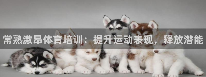 耀世娱乐怎么样：常熟激昂体育培训：提升运动表现，释放