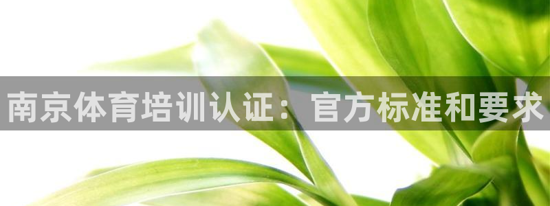 耀世微光歌曲下载：南京体育培训认证：官方标准和要求