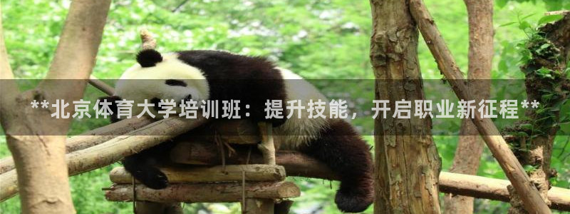 耀世平台间7O777：**北京体育大学培训班：提升技