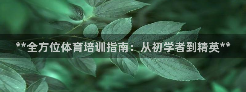 耀世启航什么意思：**全方位体育培训指南：从初学者到