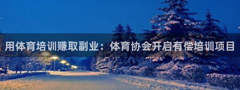 耀世娱乐挂机脚本怎么用：用体育培训赚取副业：体育协会
