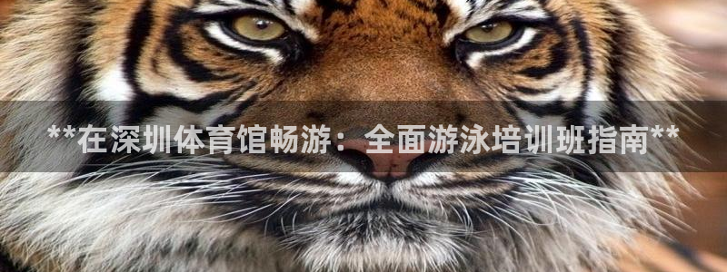 耀世首开什么意思：**在深圳体育馆畅游：全面游泳培训