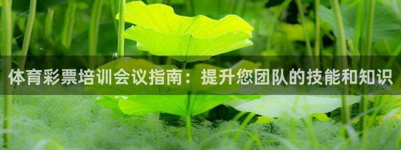 耀世广告：体育彩票培训会议指南：提升您团队的技能和知