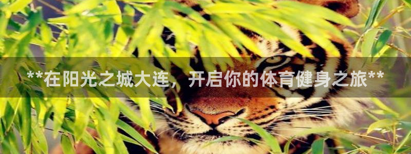 耀世娱乐然 37OO735：**在阳光之城大连，开启