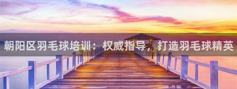 耀世而来是什么意思：朝阳区羽毛球培训：权威指导，打造