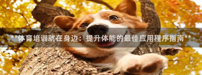 耀世平台招商怎么样：**体育培训就在身边：提升体能的