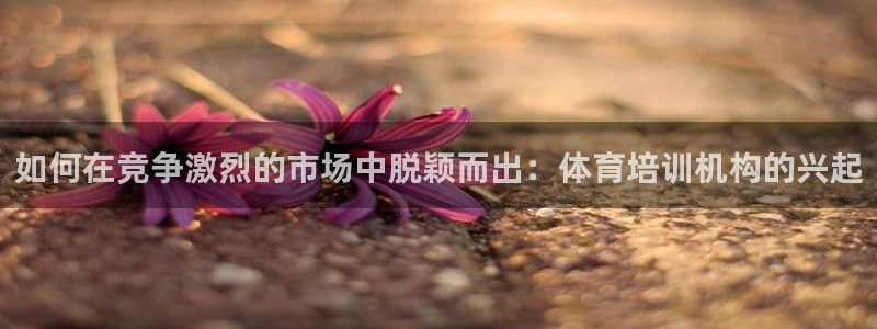 耀世平台是黑台子吗知乎：如何在竞争激烈的市场中脱颖而