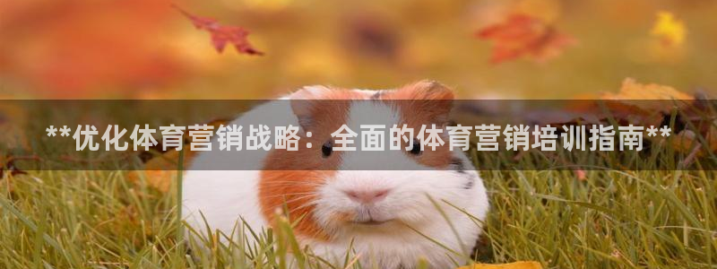 耀世娱乐注册官网：**优化体育营销战略：全面的体育营