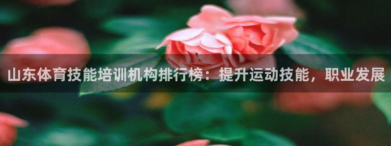 耀世集团四个字的图片：山东体育技能培训机构排行榜：提