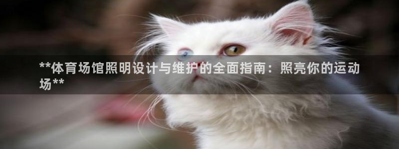 耀世平台注册网址是多少啊：**体育场馆照明设计与维护