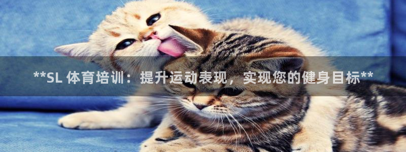 耀世登场的近义词：**SL 体育培训：提升运动表现，
