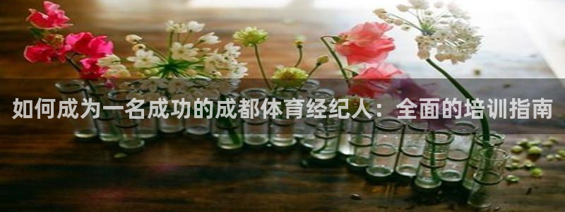 耀世平台注册登录不上怎么回事：如何成为一名成功的成都