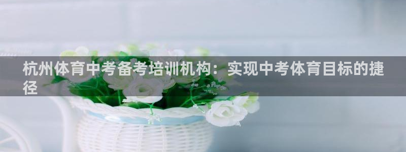 耀世娱乐挂机脚本下载：杭州体育中考备考培训机构：实现