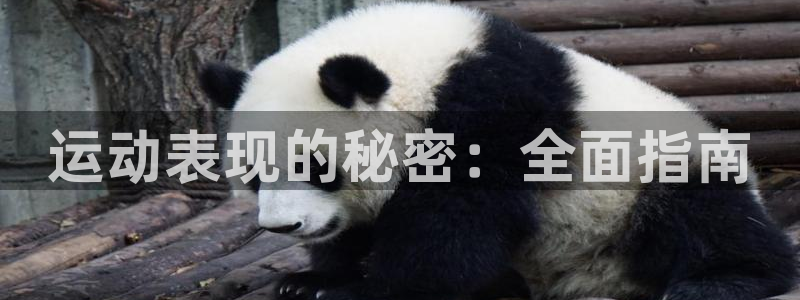 耀世娱乐注册入口：运动表现的秘密：全面指南