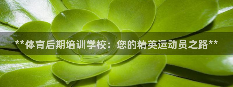 耀世平台会员中心在哪：**体育后期培训学校：您的精英