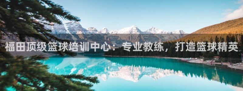 耀世而生：福田顶级篮球培训中心：专业教练，打造篮球精