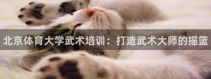耀世平台丁6.7.5.1.3.8：北京体育大学武术培