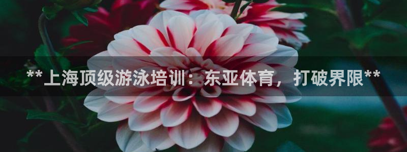 耀世娱乐注册开户要钱吗：**上海顶级游泳培训：东亚体