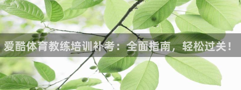 耀世娱乐下载链接安装不了：爱酷体育教练培训补考：全面