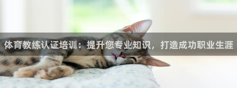 耀世平台代理注册登录失败：体育教练认证培训：提升您专