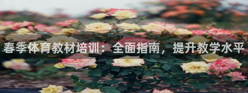 耀世x4：春季体育教材培训：全面指南，提升教学水平