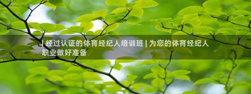 耀世集团做什么的：| 经过认证的体育经纪人培训班 |