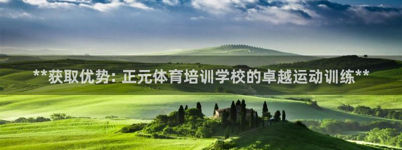 耀世娱乐是玛雅旗下的吗是真的吗：**获取优势: 正元