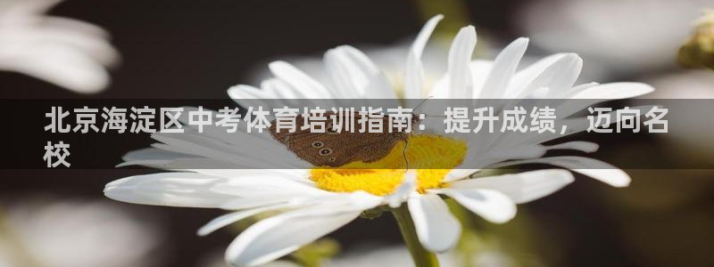 耀世平台必7O777：北京海淀区中考体育培训指南：提