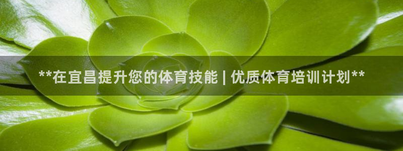 耀世开业：**在宜昌提升您的体育技能 | 优质体育培
