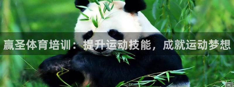 耀世盛典手游下载：赢圣体育培训：提升运动技能，成就运