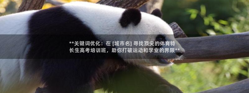 耀世平台注册登录不上怎么回事：**关键词优化：在 [城市名]