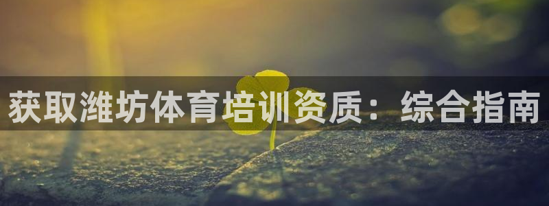 耀世平台主管：获取潍坊体育培训资质：综合指南
