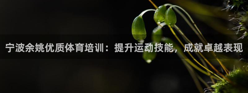 耀世娱乐平台注册地址：宁波余姚优质体育培训：提升运动技能，成