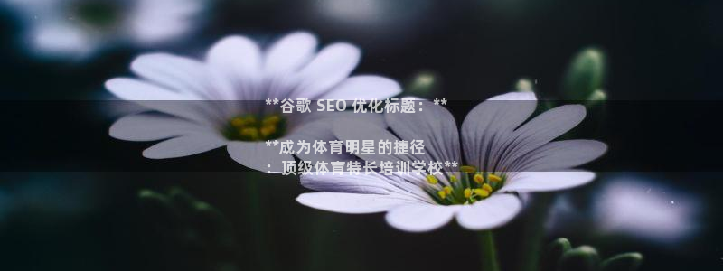 耀世国际集团是国企吗还是私企：**谷歌 SEO 优化