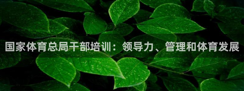 耀世第二关：国家体育总局干部培训：领导力、管理和体育