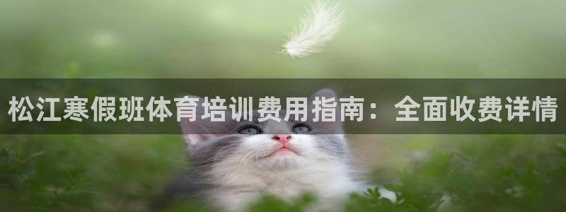 耀世璀璨什么意思：松江寒假班体育培训费用指南：全面收费详情