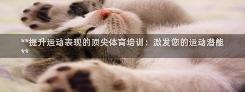 耀世平台注册登录：**提升运动表现的顶尖体育培训：激