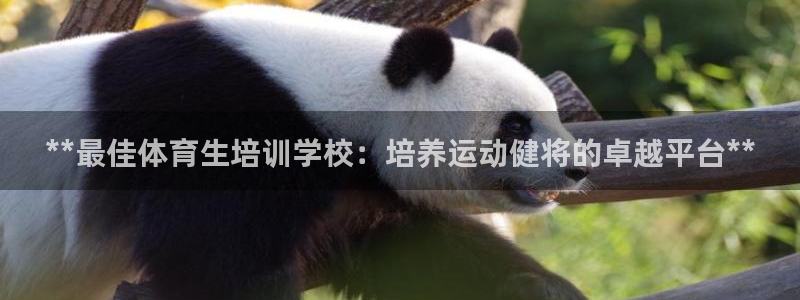 耀世娱乐平台主管：**最佳体育生培训学校：培养运动健