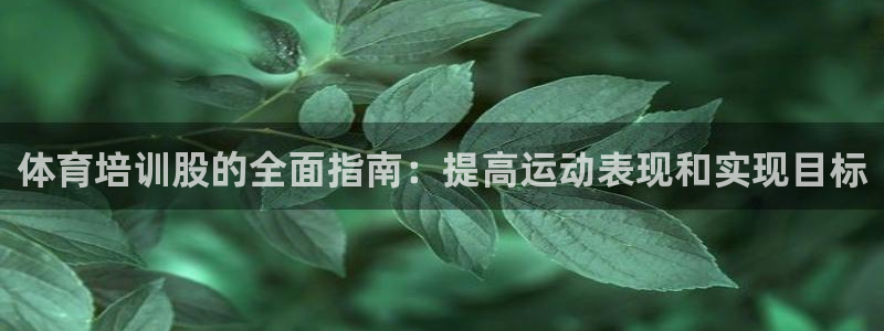 耀世娱乐挂机教程视频：体育培训股的全面指南：提高运动表现和实
