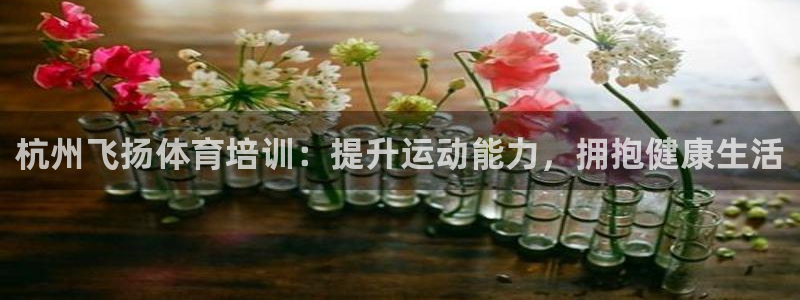耀世平台注册流程图：杭州飞扬体育培训：提升运动能力，