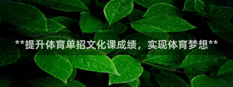 耀世娱乐联3.7.9.9.7 天乐：**提升体育单招文化课成