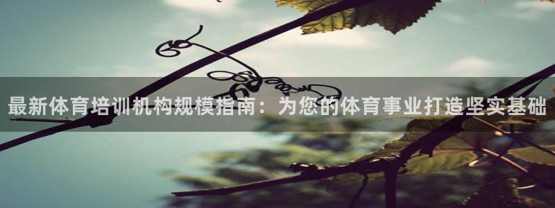 耀世娱乐平台官网下载：最新体育培训机构规模指南：为您