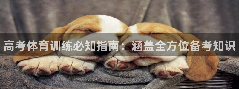 耀世平台是黑台子吗知乎：高考体育训练必知指南：涵盖全