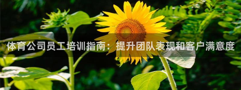 耀世平台注册登录不上怎么办：体育公司员工培训指南：提升团队表